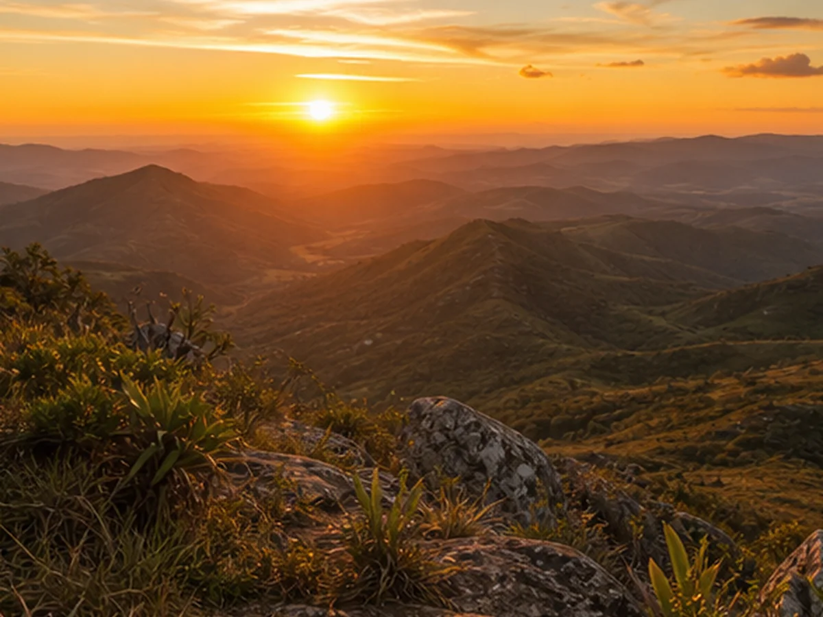 Trilha e natureza